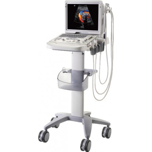 z5-500x500