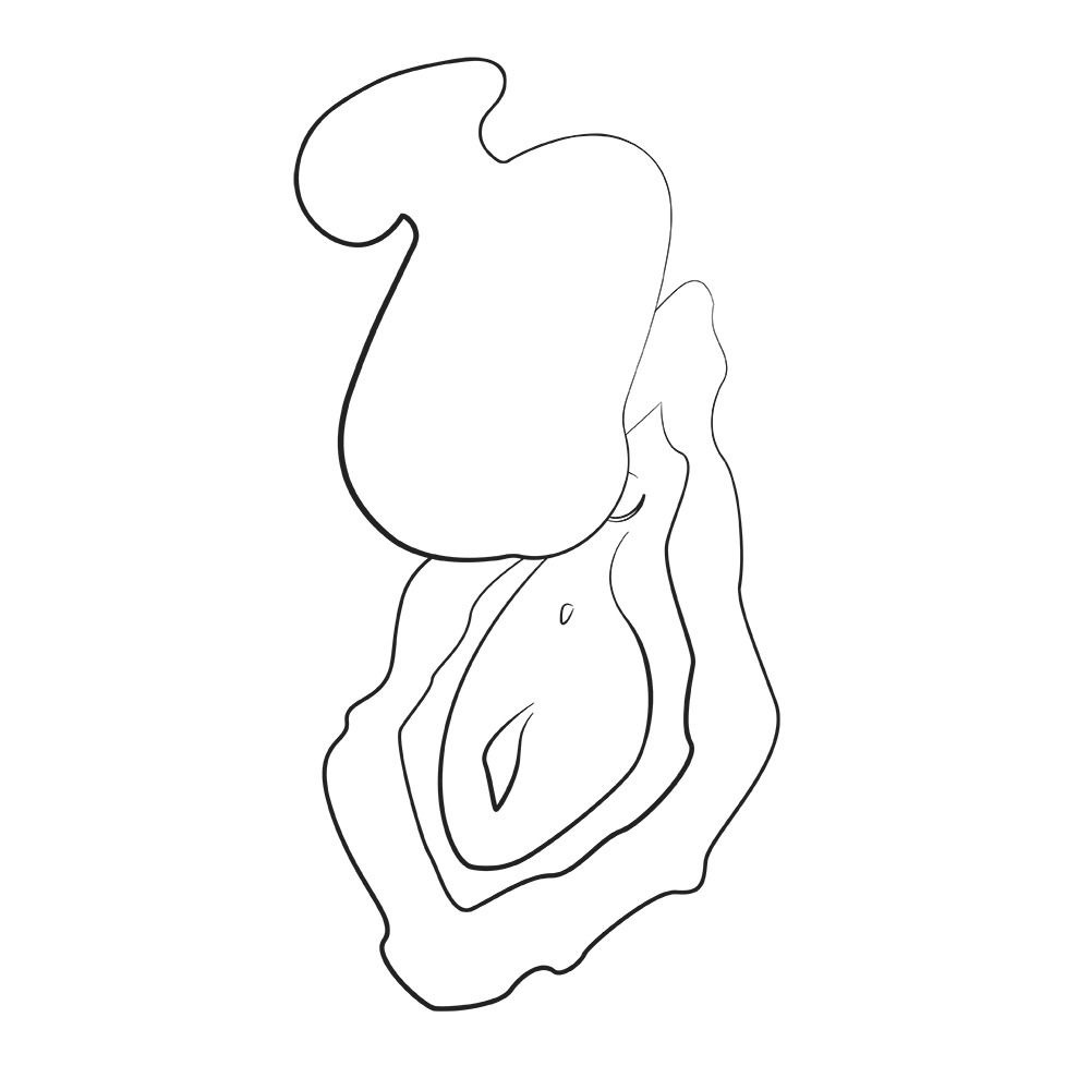 Вібратор з вакуумно-пульсуючою стимуляцією ROMP Kiss помаранчевий